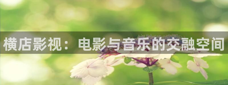 韩国理伦电影酷客：横店影视：电影与音乐的交融空间