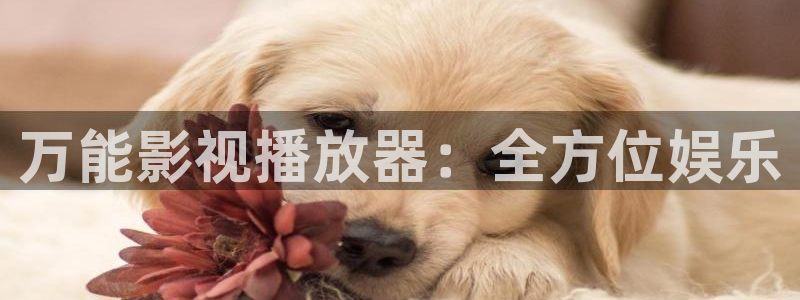 酷客影院免费电影在线观看
