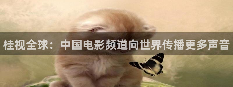 2025酷客影院：桂视全球：中国电影频道向世界传播更多声音