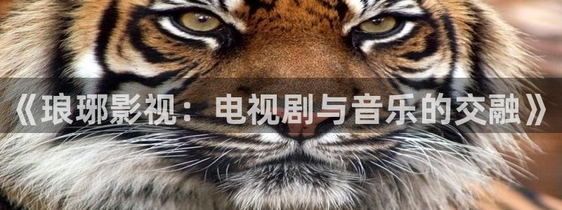 酷客影院在线电视剧：《琅琊影视：电视剧与音乐的交融》