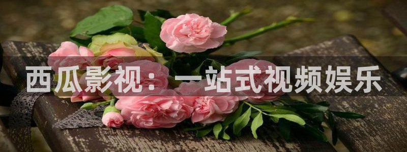 酷客影院免费手机版：西瓜影视：一站式视频娱乐