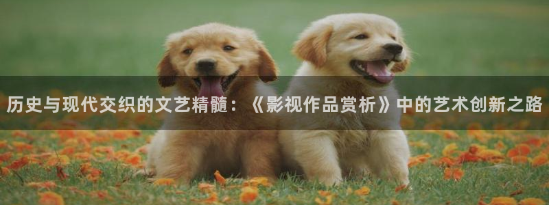 酷客影院在线观看：历史与现代交织的文艺精髓：《影视作品赏析》中的艺术创新之路