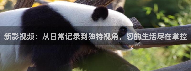 酷客影院姐姐的朋友：新影视频：从日常记录到独特视角，您的生活尽在掌控